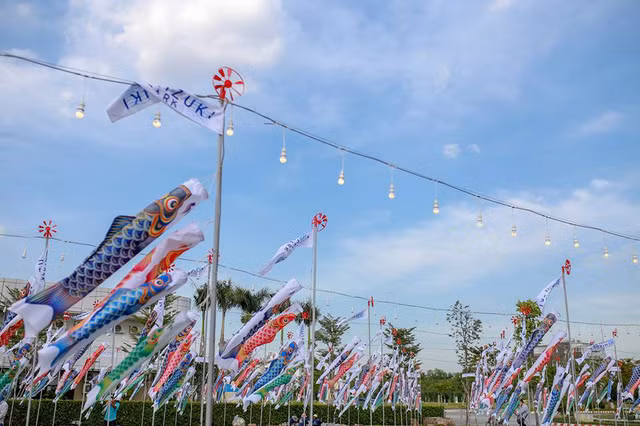 Mới mở cửa ngày 14/1 vừa qua nhưng "cánh đồng cá Koi" tại Khu đô thị Mizuki Park đã chính thức trở thành điểm hot nhất dành cho giới trẻ Sài Gòn tha hồ check in, sống ảo rần rần trên mạng xã hội.