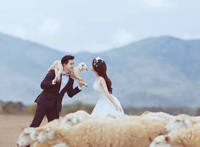Những bức ảnh cưới tuyệt đẹp được các cặp đôi thực hiện trên cánh đồng cừu Ninh Thuận đầy nắng và gió. Ảnh: Phanrangninhthuan.