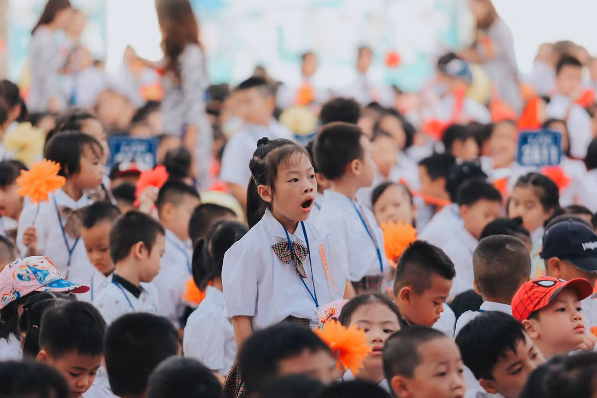 Trong đó quy mô lớn nhất là bậc giáo dục tiểu học với số lượng học sinh trên khắp cả nước lên tới 8,4 triệu em.