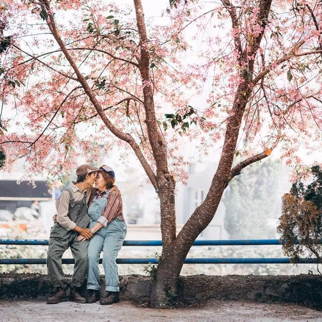 Dù đã đi gần hết quãng đời, nhưng vẫn còn có một người ngồi bên mình, ôn lại những gì mình đã làm được cùng nhau hồi còn trẻ rồi bất giác mỉm cười nhìn nhau... Hạnh phúc ở cái tuổi "gần đất xa trời" chỉ đơn giản có thế thôi.