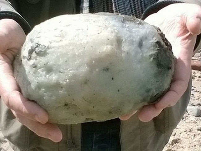 Cặp đôi người Anh là Gary và Angela Williams phát hiện một cục đá có hình bầu dục khi đi dạo trên bãi biển gần vịnh Morecaambe, Anh.