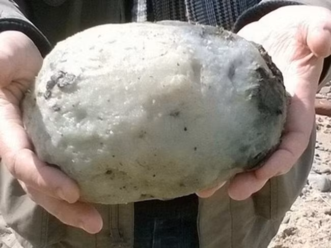 Cặp đôi người Anh là Gary và Angela Williams phát hiện một cục đá có hình bầu dục khi đi dạo trên bãi biển gần vịnh Morecaambe, Anh.