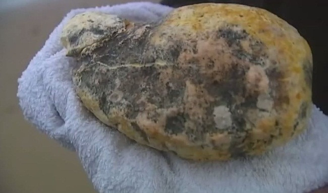 Đây là hình ảnh một khối long diên hương. Nó là chất rắn tiết ra từ hệ tiêu hóa của cá nhà táng. Sau khi ra ngoài, nó cứng theo thời gian, rất quý hiếm. Giá bán của long diên hương có thể lên đến 70.000 USD (~1,69 tỷ đồng).