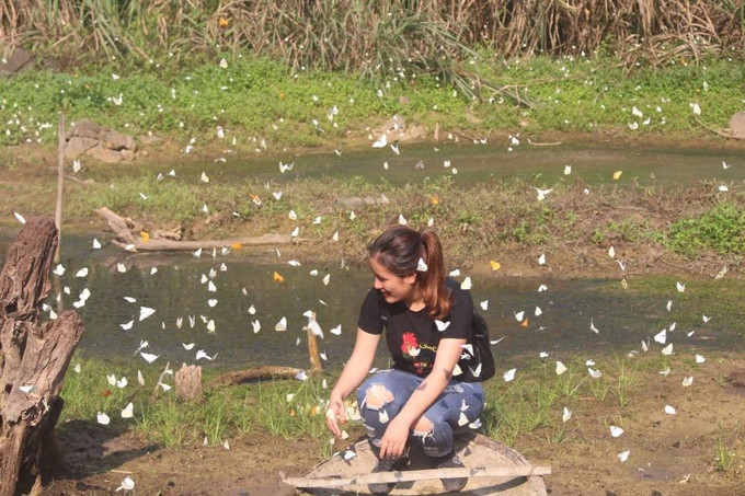 Một lưu ý nho nhỏ với các bạn trẻ khi đi săn bướm tại vườn Quốc gia Cúc Phương đó là do phải đi vào rừng, nên các bạn nhớ mang theo đèn pin để chiếu sáng, mặc quần áo dài để tránh côn trùng đốt.