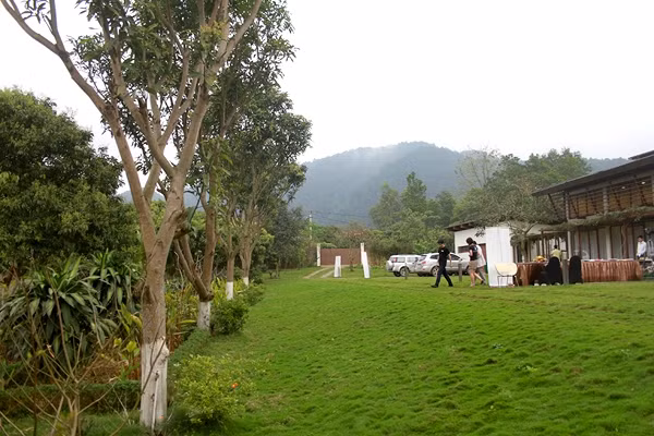 Căn biệt thự tràn ngập sắc xanh của cỏ cây hoa trái quanh năm.