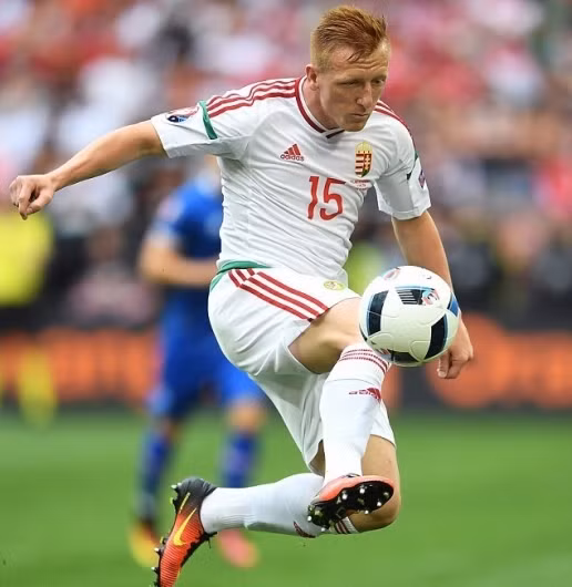 Trước VCK Euro 2016, Laszlo Kleinheisler là một cái tên vô danh. Thế nhưng trong màu áo của ĐTQG Hungary, anh đã thể hiện được mình và rất nhiều CLB đánh tiếng muốn có anh và buộc Werder Bremen phải lên kế hoạch giữ chân.