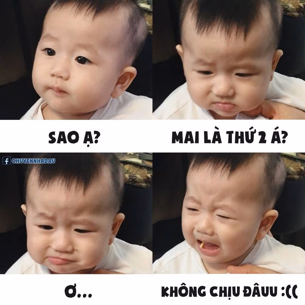 Loạt ảnh gương mặt có 1001 biểu cảm mặn mà của Đậu đã được bố mẹ tập hợp lại và chế với những câu từ cực hài hước.