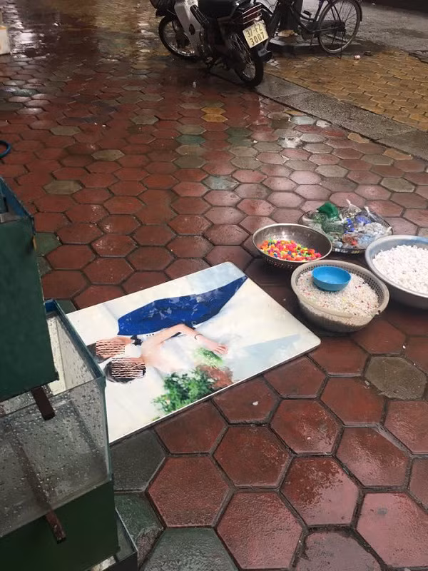 Ngay sau khi bức ảnh cưới xấu số được đăng tải, nó đã thu hút tới hơn 93.000 lượt like cùng rất nhiều lượt chia sẻ và bình luận. Đa số cộng đồng mạng đều mang chung phản ứng "dở khóc dở cười" khi xem hình ảnh này.