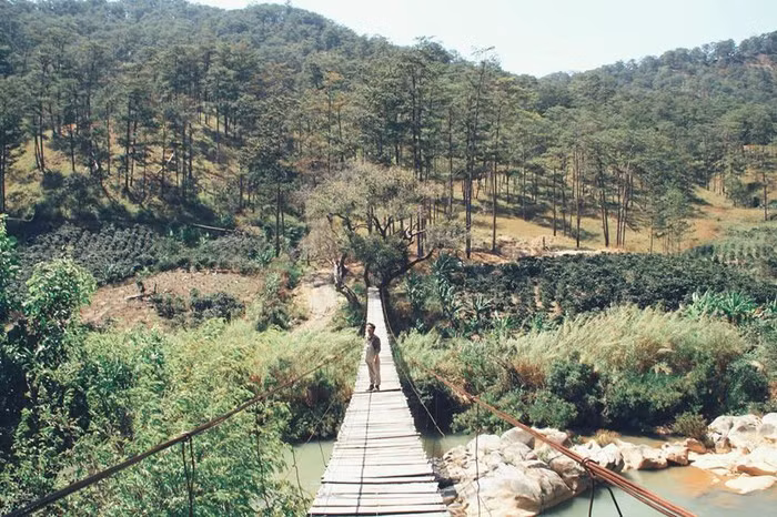 Cau treo dep trong tranh o Da Lat khien gioi tre phat cuong