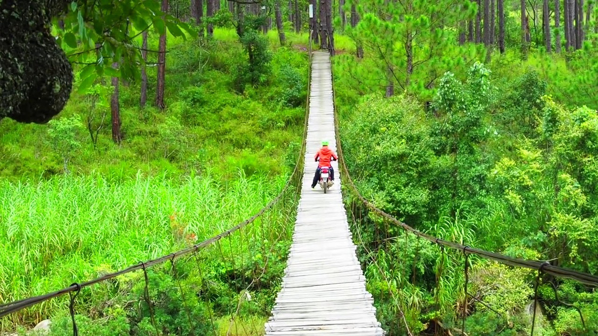 Xung quanh cầu là khung cảnh núi non, rừng thông, cỏ cây vô cùng hùng vĩ, không chỉ vậy bên cạnh đó còn có cả những rẫy cà phê, những căn chòi gỗ rất đẹp.