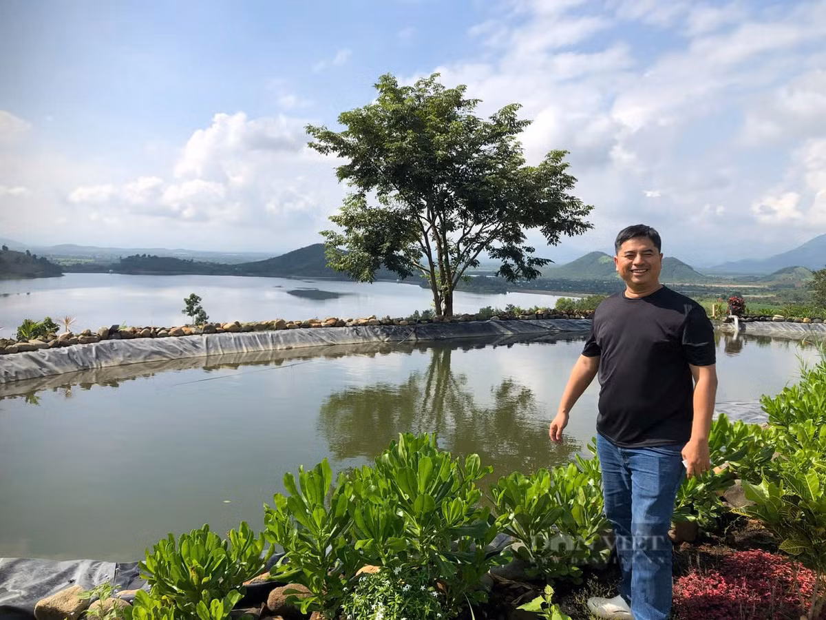 Roi pho, ve que chi hon 30 ty chi de “duoc lam nong dan“-Hinh-2