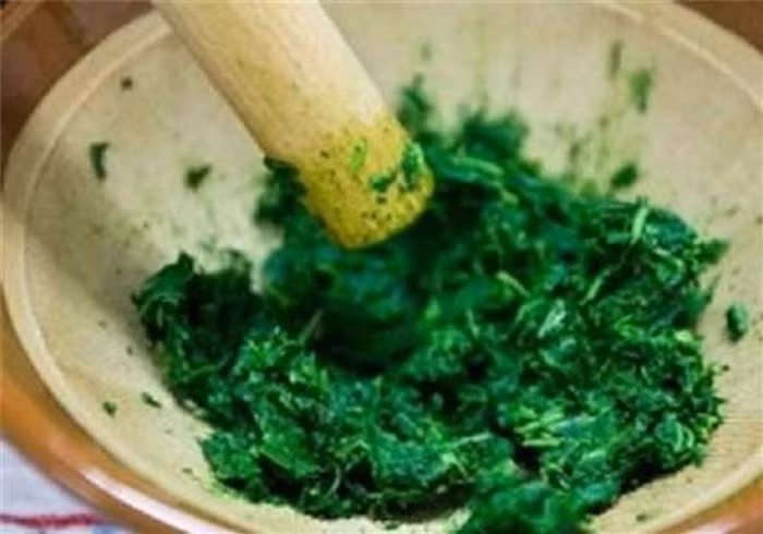 Ngải cứu. Dùng 1 nắm lá ngải cứu tươi, rửa sạch, giã nát. Cho khoảng 150ml dấm gạo đã được đun nóng trộn cùng lá ngải rồi cho vào 1 miếng vải mỏng, buộc kín. Dùng túi thuốc trên xoa dọc theo sống lưng trong khoảng 15 phút. Làm mỗi tối trước khi đi ngủ. Bài thuốc chữa đau lưng từ gai cột sống. Ảnh: Netnews. (Thông tin trong bài viết chỉ mang tính chất tham khảo. Trước khi sử dụng bài thuốc, bạn vui lòng hỏi ý kiến bác sĩ).