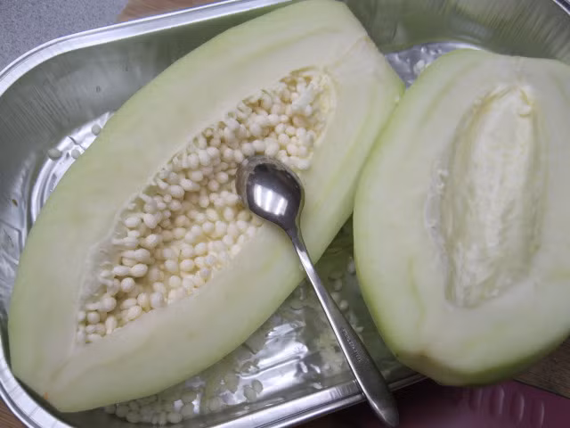 4. Mắm đu đủ chay. Nguyên liệu: Đu đủ xanh, mắm chay, muối, đường, nước, ớt. Đu đủ gọt vỏ, rửa sạch rồi bào sợi nhỏ. Cho muối hột vào đu đủ rồi xóc đều, để 1 giờ. Sau đó xả sạch đu đủ với nước lạnh rồi vắt ráo. Sau đó trải đu đủ ra mâm phơi cho héo. Ảnh: huongdansudung.vn.