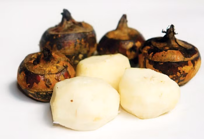 Củ năng là loại thực phẩm bổ dưỡng có khả năng hỗ trợ trị các bệnh tim mạch, đái tháo đường, giảm nguy cơ bệnh sỏi thận và các bệnh đường ruột. Vì thế, dân gian đã dùng củ năng chữa nhiều bệnh hiệu quả. Ảnh: caythuoc.