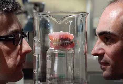 4. Tái tạo mầm răng từ nước tiểu: Sau thử nghiệm thành công bước đầu ở chuột, các nhà khoa học Trung Quốc tin rằng, các tế bào gốc thu được từ nước tiểu có thể giúp con người tái mọc những chiếc răng đã mất. Cấu trúc giống răng thô sơ nói trên là mô rắn đầu tiên được phát triển nhờ một kỹ thuật kích thích các tế bào bị thải loại từ nước tiểu của người biến đổi trở thành những tế bào gốc. Ảnh: KhoaHoc.tv.