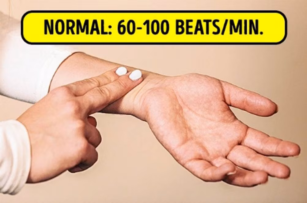 2. Kiểm tra sự hoạt động của tim. Cách thực hiện: Ngồi yên tĩnh 5 phút trong im lặng và đặt 4 ngón tay vào phía bên trong cổ tay để tìm mạch. Đếm số nhịp mạch đập trong một phút. Ảnh: baoxaydung.com.vn.