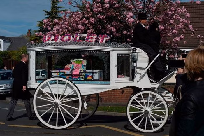 Cũng chính tay bố mẹ Violet đặt quan tài của bé xuống huyệt, như một lời an ủi con luôn có vòng tay bố mẹ bên cạnh.