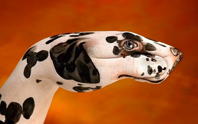 2. Có xu hướng sáng tạo nghệ thuật. Nhiều nghiên cứu cho thấy người thuận tay trái có xu hướng sáng tạo nghệ thuật tốt hơn, do não bộ của họ có khả năng tạo ra nhiều ý tưởng hơn, suy ra được nhiều kết quả của một vấn đề hơn bình thường.