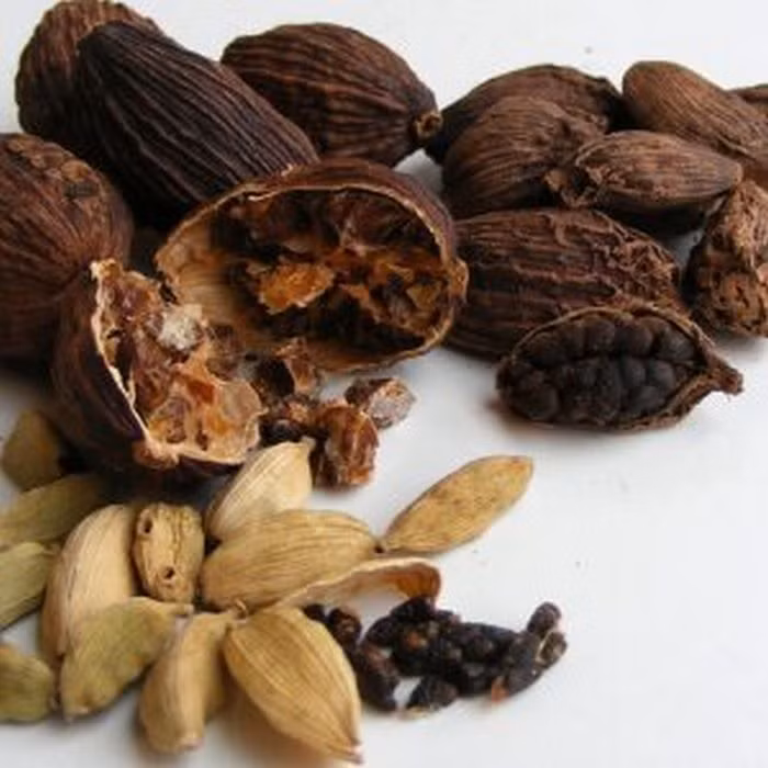 Hoắc hương, thảo quả. Thảo quả (nướng) 6g, hậu phác, hoắc hương đều 10g, thanh bì, bán hạ, thần khúc, mỗi vị 6g; cao lương khương 6g, đinh hương, cam thảo, mỗi vị 4g; sinh khương, đại táo 10g. Sắc uống ngày 1 thang. Dùng 3 - 5 ngày. Ảnh: Tapchidongy. (Thông tin trong bài viết chỉ mang tính chất tham khảo. Trước khi sử dụng bài thuốc, bạn vui lòng hỏi ý kiến bác sĩ).