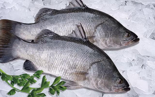 2. Cá chẽm cuộn măng. Nguyên liệu: Cá chẽm, măng tươi, cải bó xôi, sả, gừng, cà chua, dầu mè, dầu ăn, dầu hào, xì dầu, đường, bột ngọt, ớt bột, tiêu, hành lá, rượu trắng. Măng cắt sợi, luộc măng hai lần, mỗi lần để măng sôi khoảng 5 phút rồi rửa sạch lại bằng nước lạnh. Ảnh: Cooky.vn.