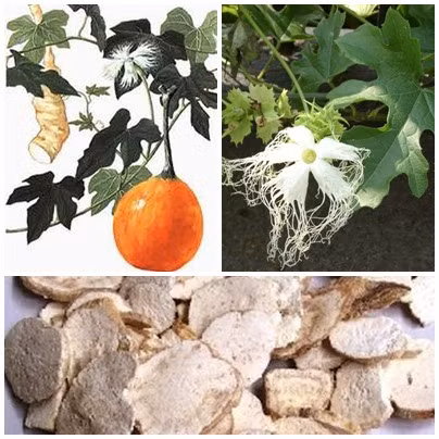 Đây là bài thuốc trị đái tháo đường hiệu quả tuyệt vời Day la bai thuoc tri dai thao duong hieu qua tuyet voi