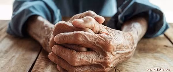 Tăng cường dẫn truyền thần kinh, ngăn chặn hình thành các mảng bám, đám rối trong não, nuôi dưỡng tế bào não, trị các bệnh Alzheimer, teo não và sa sút trí tuệ. Ảnh: xaluan.com. (Thông tin trong bài chỉ mang tính chất tham khảo, trước khi sử dụng bài thuốc, vui lòng hỏi ý kiến bác sĩ).
