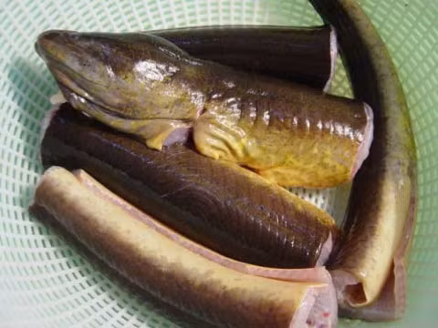 3. Lươn nướng ống tre. Nguyên liệu: Lươn, sả, bột nghệ, ớt, gia vị, bún. Dụng cụ: Ống tre, than củi. Lươn làm sạch, cắt khúc 3 - 4cm ướp với nghệ, mì chính, tiêu, muối, sả, ớt, đường trong 20 phút. Ảnh: Nauzi.com.