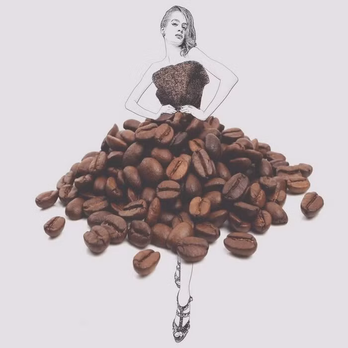 Bộ váy xòe tuyệt đẹp từ hạt cà phê.