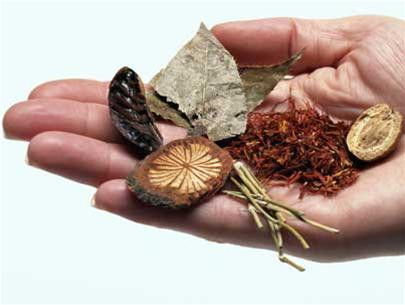 4. Bài thuốc 4: Thảo quả 4g, quế 4g, hạ khô thảo 10g, ngũ vị 5g, ngải diệp (sao) 10g, chích thảo 10g, tơ hồng xanh 12g, đinh lăng 10g, trần bì 8g, thiên niên kiện 6g, sinh khương 2g, lệ chi (sao vàng) 8g. Tất cả sắc nước uống hàng ngày, chia làm 3 lần và uống khi thuốc còn nóng. Ảnh: namkhoahanoi.vn.