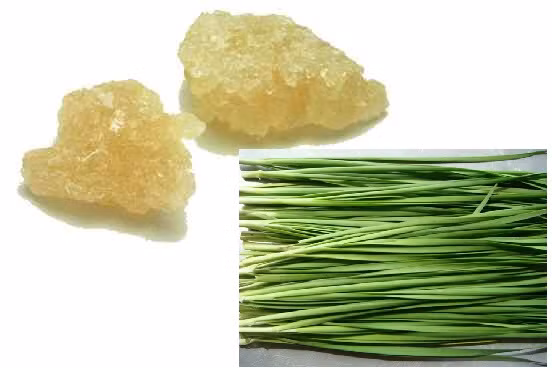 Lấy một nắm lá hẹ vừa đủ đem rửa sạch, để cho ráo nước rồi cắt nhỏ cho vào chén. Sau đó thêm đường phèn rồi đem đi hấp cách thủy. Đối với trẻ em, chắt lấy nước hẹ cho trẻ uống 2 lần mỗi ngày, mỗi lần uống khoảng 2 -3 muỗng, uống trong vài ngày trẻ sẽ giảm ho. Đối với người lớn, ăn luôn cả xác và nước để đạt hiệu quả cao. Ảnh: chuyenkhoataimuihong.com.