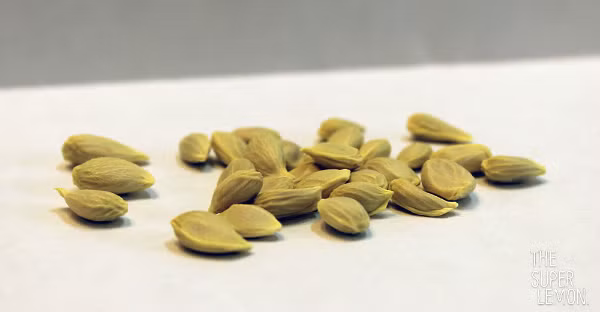 Bỏ bát nước đó vào nồi cơm vừa cạn, hấp tới khi cơm chín là dùng được. Khi hỗn hợp nguội, gạn nước trong và cho bé uống trong ngày. Mẹ cho bé uống 1-2 thìa cà phê/lần, 4lần/ngày. Bé sẽ hết ho và tiêu đờm. Dùng cho các bé từ 2 tháng tuổi trở lên. Ảnh: chamsoctainha.vn.