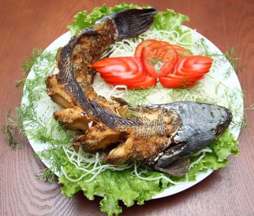 Cá sau khi chế biến sạch bạn ướp với muối, ớt bột, ớt sừng thái mỏng, hạt nêm, đường và sốt mayonnaise để 30 phút. Sau đó bạn lấy lá sen và lớp giấy bạc gói cá thật chặt. Cá lóc nướng thì nướng bằng than hoa là ngon nhất. Ảnh: bepnuongthanhoa.net.