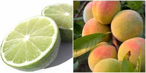 Mặt nạ đào, nước cốt chanh: Trộn đào nghiền mịn và nước cốt chanh, dùng đắp buổi tối và rửa mặt sạch sau 15 phút. Ảnh: Dr.haile.vn.