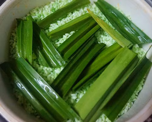 5. Xôi lá dứa. Xay nhuyễn hỗn hợp lá dứa và nước, lọc bỏ bã. Trộn 3 giọt lá dứa chiết xuất với nước lá dứa. Dùng nước lá dứa để ngâm gạo từ 4 - 12 giờ. Ảnh: Eva.vn.