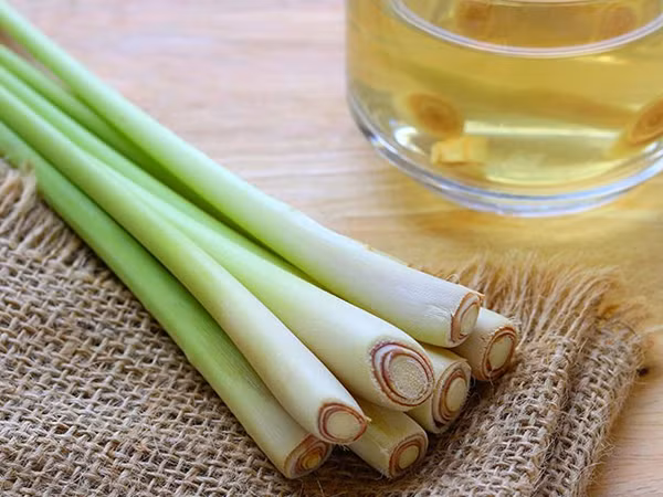 Cách 5. Dùng sả tươi: sả tươi (đập dập khoảng ba nhánh), gừng tươi một nhánh (giã ra) hoặc cắt thành lát (ngâm lâu hơn cho ra chất), chanh một trái (cắt nhỏ ra). Đun sôi hỗn hợp. Đổ hỗn hợp vào thau gỗ hoặc inox. Đợi khoảng 10 - 15 phút cho các thành phần hòa lẫn vào nhau. Pha thêm với nước lạnh (sờ vào vừa đủ ấm là được) rồi cho chân vào ngâm. Ảnh: thaythuocgiadinh.com.vn.