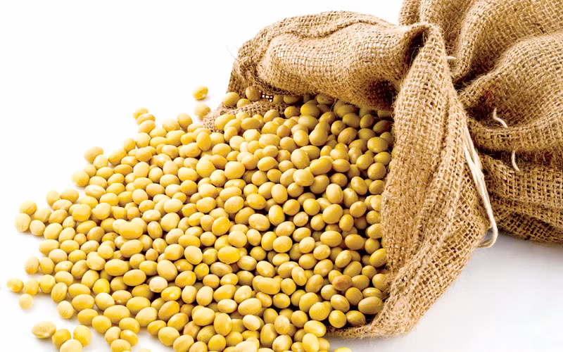 5. Đậu nành. Giảm mỡ bụng, làm săn chắc vòng: Hãy áp dụng việc kiên trì uống sữa đậu nành trong vòng 3 tháng, bạn sẽ thấy tác dụng của sữa đậu nành giam can vùng mỡ bụng thần kỳ như thế nào. Ảnh: VietNamNet.vn.