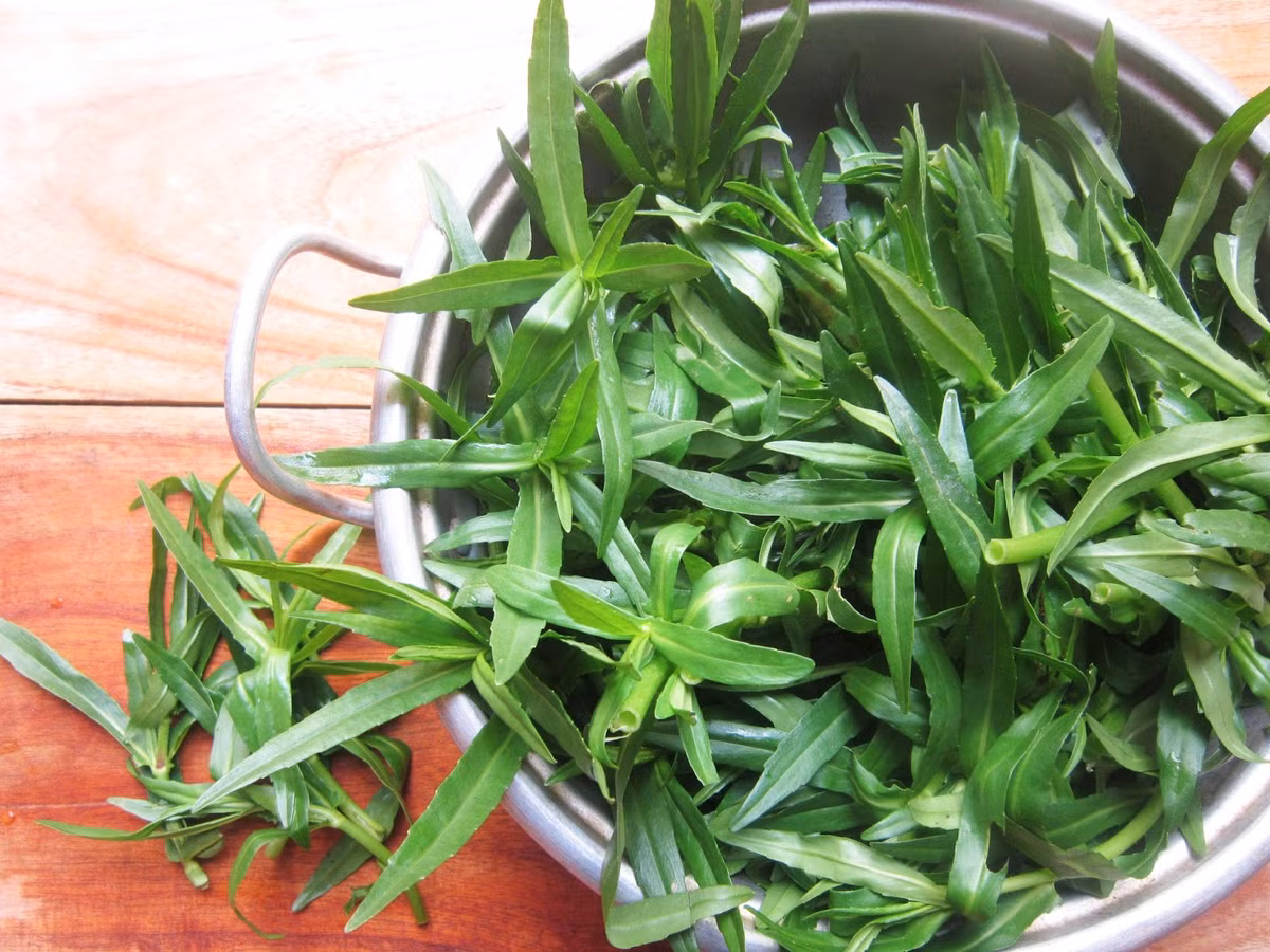 1. Bí đỏ xào tỏi và rau ngổ. Nguyên liệu: Bí đỏ, rau ngổ, dầu oliu, nước mắm, tỏi. Bí đỏ gọt vỏ, bỏ hạt, rửa sạch, thái miếng nhỏ vừa ăn. Tỏi bóc vỏ băm nhỏ. Rau ngổ rửa sạch, cắt nhỏ. Làm nóng chảo, cho dầu oliu vào xào cùng tỏi, rau ngổ cho thơm. Ảnh: bepmonngon.com.