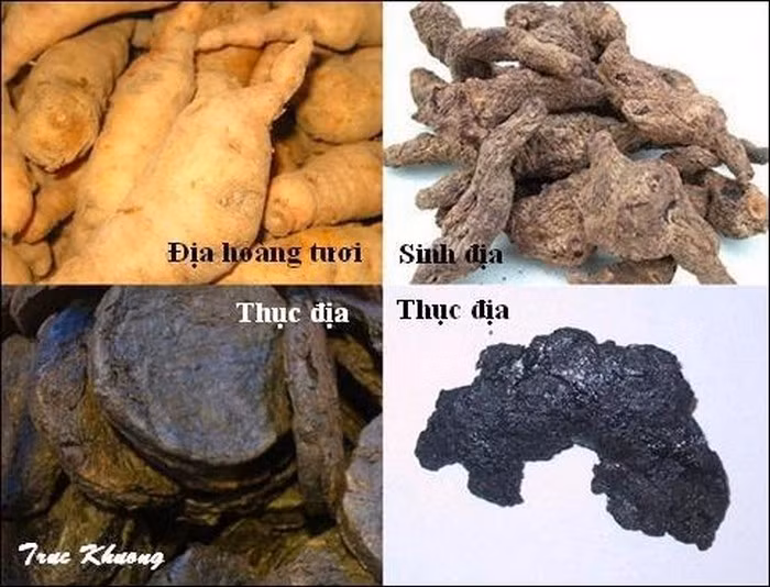 Các thôn nữ dùng cách đơn giản như vậy, còn các cung nữ thì lại lưu truyền bài thuốc làm vòng 1 nảy nở là dùng thục địa, gừng khô, đảng sâm, mạch nha vào nồi sắc lấy nước. Kẹo mạch nha đem chưng cho tan và pha với nước uống 3 lần/ngày. Ảnh: SKĐS.