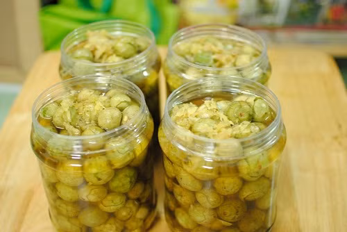 Xếp sấu vào nồi, cứ 1 lớp sấu rồi tới 1 lớp đường, nhớ đổ lớp đường kín và dày một chút. Làm lần lượt tới hết. Lớp trên cùng phủ đường kín. Để nguyên nồi sấu đó khoảng 10 tiếng, đường sẽ tan dần. Dùng đũa gắp từng quả sấu cho ra hũ ngâm sấu. Ảnh: Lamsao.com.