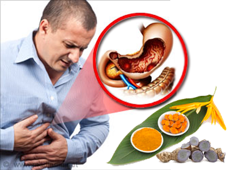 10. Trị đau dạ dày, ợ chua: Vỏ ốc đồng, đường đỏ. Vỏ ốc đồng sấy khô nghiền bột rồi nuốt với đường đỏ mỗi lần uống 15g. Ảnh: Cumargold.vn (Thông tin trong bài chỉ mang tính chất tham khảo, trước khi sử dụng bài thuốc, vui lòng hỏi ý kiến bác sĩ).