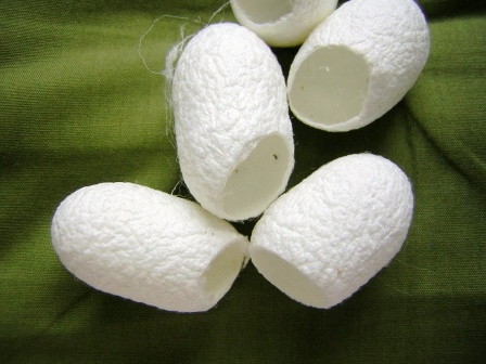 Kén tằm còn giúp làm lành những vết nứt nẻ, tạo lớp màn chắn bảo vệ da khỏi khói, bụi, khí thải, tạp chất... hạn chế phần nào tác hại của tia cực tím, chống oxy hóa, sản sinh collagen và có tác dụng trị mụn, kháng viêm. Ảnh: i-see.in.