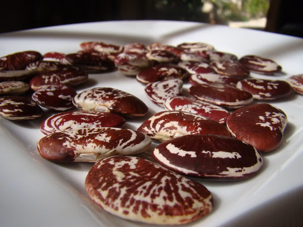 1. Chè đậu ngự. Nguyên liệu để làm món ngon từ đậu ngự hấp dẫn này bao gồm: Đậu ngự, đậu gà, đậu đen, đường phèn. Đậu đen ngâm 1 ngày. Đậu ngự và đậu gà ngâm 1 đêm (8h). Đổ bỏ nước ngâm đậu. Ảnh: yeunoitro.net.