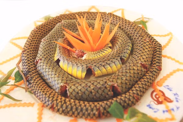 1. Thịt rắn tần thuốc bắc. Nguyên liệu: Thịt rắn, thịt gà ác, kỷ tử, hoài sơn, chén rượu, sâm quy, long nhãn, hành khô, tai nấm hương, tỏi tây, nước dùng gà, muối, bột ngọt, rau thơm, mỡ nước. Thịt rắn lột da, tẩy với gừng và rượu rồi chặt khúc, cho vào chao với mỡ đến khi vàng sém. Ảnh: vanghe.blogspot.com.