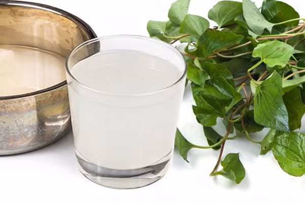 1. Hạ sốt cho trẻ: Dùng nước vo gạo mới và đặc đun sôi nhỏ lửa với lá diếp cá đã giã nhuyễn, khi nhừ thì lấy ra để nguội rồi cho trẻ uống ngày 3 lần. Ảnh: Kidsplaza.vn.