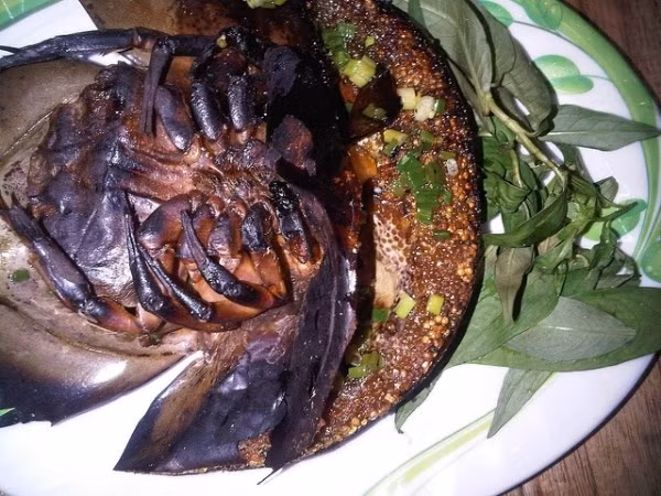 3. Chân sam xào chua ngọt. Nguyên liệu: Giềng, sả, ớt, lá lốt, sam, gia vị, dầu ăn. Ướp chân sam với giềng, sả, ớt cùng gia vị. Làm nóng chảo, chiên sơ sam với dầu ăn. Pha sốt chua ngọt bằng cách trộn đều tương cà, tương ớt chua ngọt, giấm, đường, nước mắm, hạt nêm rồi nêm nếm lại cho vừa ăn. Ảnh: kienthuc.net.vn.