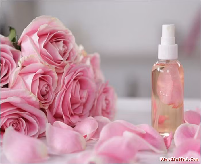 7. Cánh hoa hồng, lô hội, glycerin. Dùng 1 cốc nước và 1/2 chén cánh hoa hồng tươi, đun nóng chúng cho đến khi sôi. Để dung dịch nước này mát trở lại và lọc cánh hoa hồng ra, thêm nước lô hội, một vài giọt glycerin trộn đều và lưu giữ trong tủ lạnh. Ảnh: Vietgiaitri.