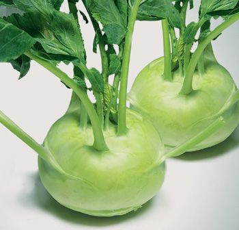 3. Kim chi su hào. Nguyên liệu: Su hào, củ cải, cà rốt, hành tây, táo, hành củ, tỏi, gừng, hành, lá hẹ, cơm nếp, đường, muối, tôm, cá cơm khô, mắm, ớt bột. Su hào rửa sạch, gọt bỏ vỏ, thái miếng lập phương. Ảnh: hoithankinhhocvietnam.com.vn.