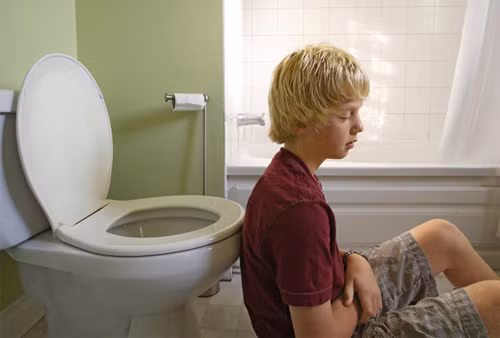 4. Dùng quả hồi chữa tiêu chảy thể hàn: Quả hồi 10g, quế 10g, đại hoàng 20g, gừng tươi 25g, bạc hà băng hay long não bột 25g ngâm trong rượu tốt để được một lít. Ngày uống hai lần, mỗi lần 25-30 giọt hòa với nước sôi để nguội. Ảnh: SongKhoe.vn.