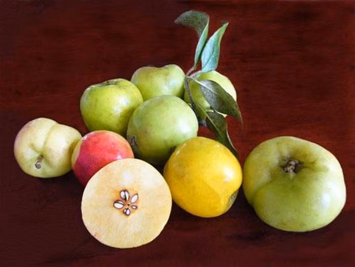 Không chỉ có công dụng chữa bệnh, làm đẹp hiệu quả mà táo mèo còn có tác dụng giảm cân rất tốt. Sau đây là những cách giảm cân từ táo mèo chị em có thể tham khảo. Ảnh: Dongamruou.