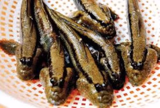 4. Lẩu cá thòi lòi. Nguyên liệu: Cá thòi lòi, rau sống, bún, bắp chuối, rau muống, gia vị, sả, ớt, ngò om, me, ngò gai, cà chua, đậu bắp. Thòi lòi tươi sống, làm sạch, để nguyên con. Khi nước vừa sôi, cho thêm đường, bột ngọt, nước mắm, sả, ớt, tỏi vào nồi. Ảnh: giadinhhaisan.com.